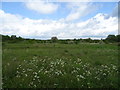 Eastbrookend Country Park