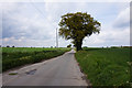 Sandy Lane towards Beighton