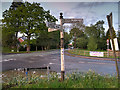 SJ8178 : 3-armed Signpost, Lindow End by David Dixon