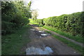 Bridleway towards Park Wood