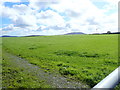 Footpath along the edge of a field