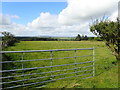 Grazing land on the West side of Tate Road