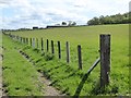 Fence near Park House Farm