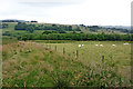 Rough pasture north-east of Pont Glanrhyd in Ceredigion