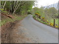 Glen Lyon - Road heading towards Craigianie