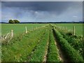 SU1349 : Track and farmland, Netheravon by Andrew Smith