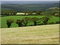 Farmland, Veryan