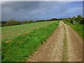 Farmland, Cuby