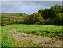 SW9246 : Farmland, Probus by Andrew Smith