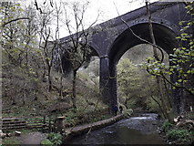 SK1172 : Chee Dale: one of the viaducts over the Wye by Chris Downer