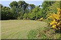 The Bowling Green, Bargany Gardens