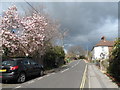 Tilmore Road, Petersfield