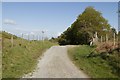 Unsurfaced road near Moel Llech