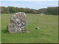 SR9895 : Devils Quoit Standing Stone, Stackpole by Colin Cheesman