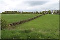 Drystane field boundary at Milnholm