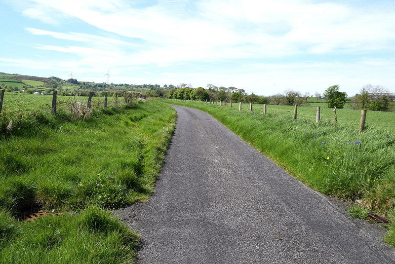 grass-verges-along-speerholme-road-kenneth-allen-geograph-ireland