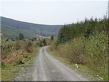 NX3695 : Logging road beside the Stinchar by Richard Webb