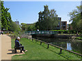 Chelmsford: lunchtime by the River Can