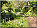 Path into Woodland off Lindle Lane