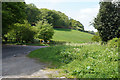 Looking across the A517