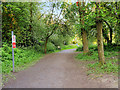 SD4725 : Path into Longton Brickcroft Local Nature Reserve by David Dixon