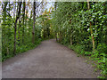 Longton Brickcroft, Path towards Middle Pond