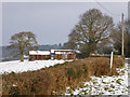 Tin Sheds