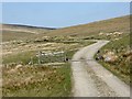 NY7534 : Bridleway from Moor House to Garrigill by Oliver Dixon