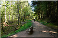 Path in Blairadam Forest on south side of Lochornle Burn