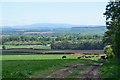 Across the Tweed to the Cheviot