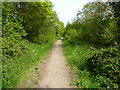 Wardswood Lane, Lilley