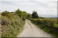 SJ0876 : Offa's Dyke path near Bodlonfa by Mark Anderson