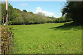 Meadow near Loddiswell station