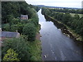 NY4654 : River Eden from Corby Bridge by Rudi Winter