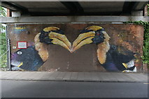 TQ3570 : View of toucan street art under the railway bridge on Penge Lane by Robert Lamb