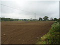 Field off the B4380, Emstrey