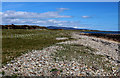 NC8801 : On the Beach at Strathsteven by Chris Heaton