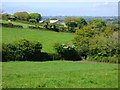 Pastures, Gwennap