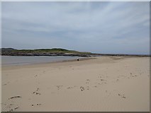 C1544 : Looking for shells on Ballyhooriskey Beach by Willie Duffin
