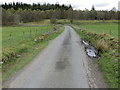 NN7270 : Road approaching the A9 near to Dalnacardoch by Peter Wood