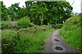 Path linking Castleman Trailway with Verwood Road