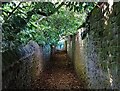 Public footpath east of Whinfell Court