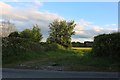 Field entrance on the A44, Weston