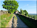 Pennine Bridleway, Top o