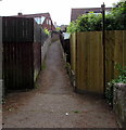 Path towards Hollybush, Malpas, Newport