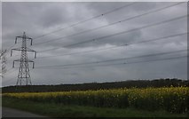 TF1105 : Pylon on Langley Bush Road, Helpston by David Howard