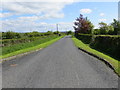 Hedge-lined minor road approaching Corries Mill