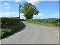 Hedge-lined minor road at Edwardstown