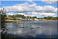 Castle Loch, Lochmaben