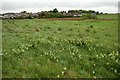 Field beside Burleigh Castle